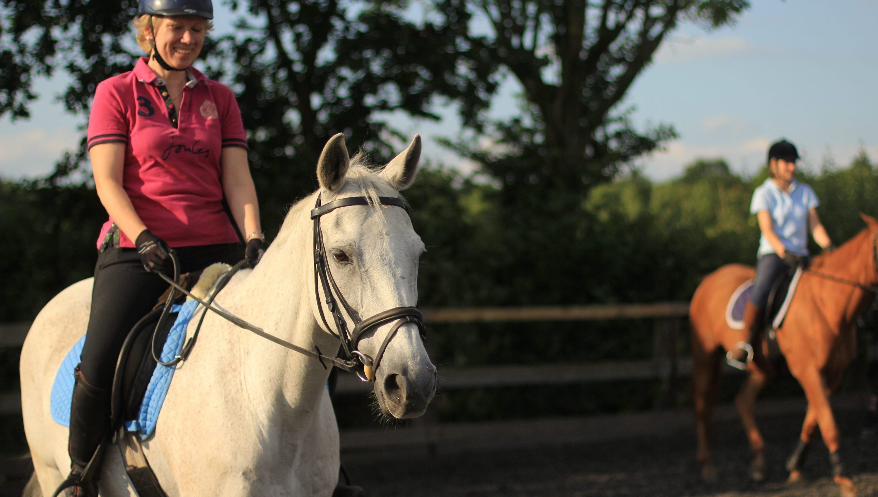 All Other Activities Berkshire Riding Centre