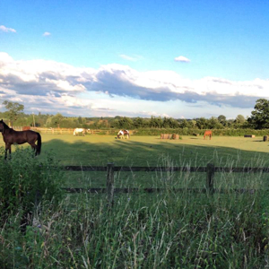 Facilities | Berkshire Riding Centre